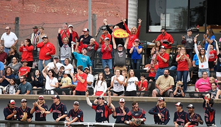 The crowd at the 2017 Baseball World Series