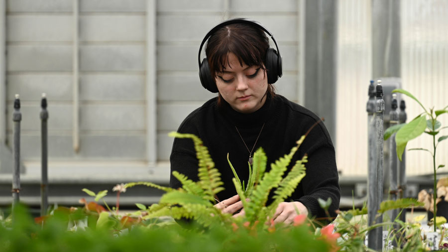 Student working in a greenhouse