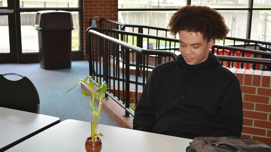 Student sitting at a table with a potted plant on it