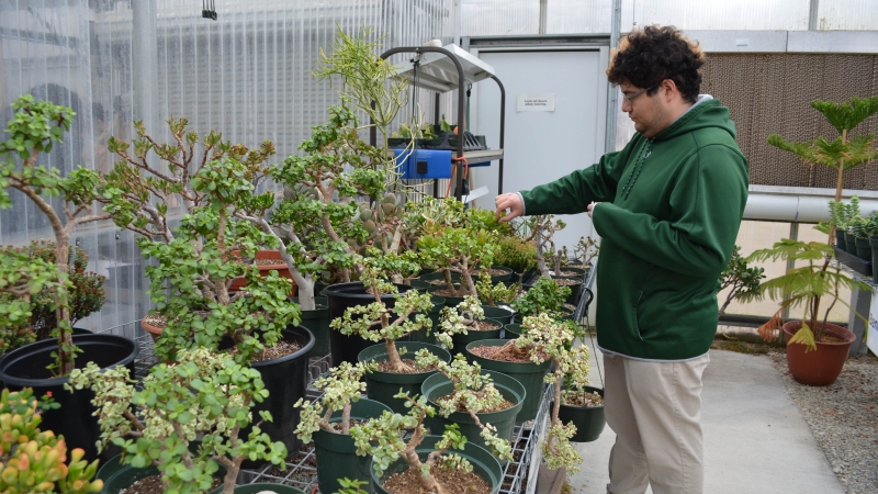 A student maintaining plants at a greenhouse